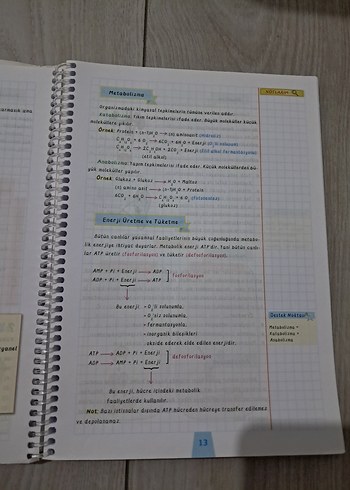 TYT Biyoloji Destek Defterim - Görsel 3