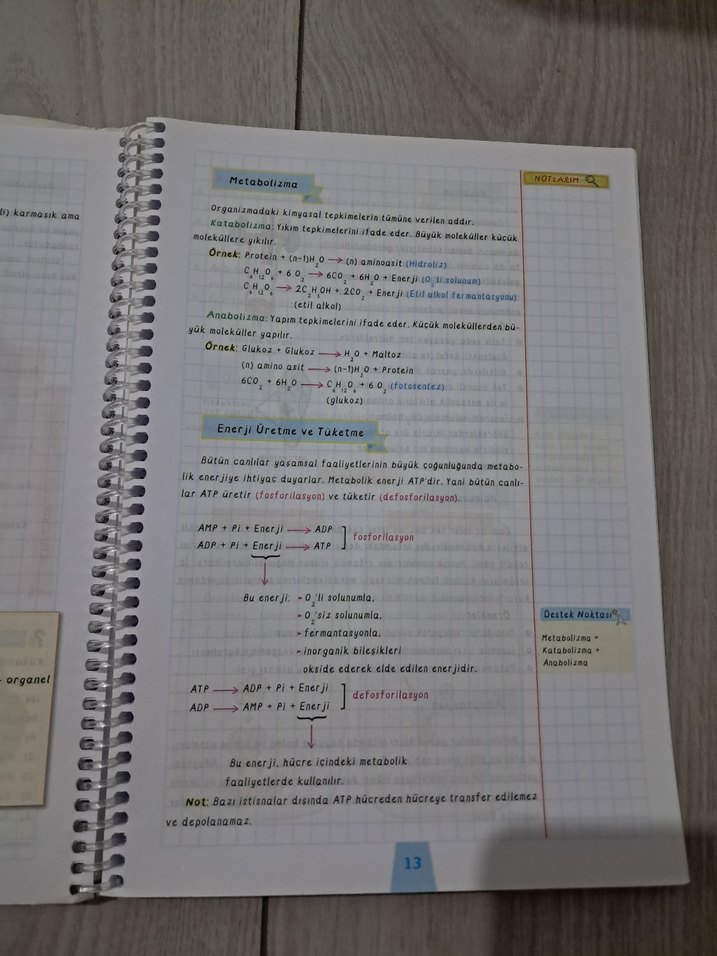 TYT Biyoloji Destek Defterim - Görsel 3