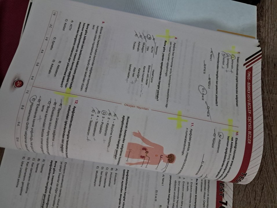 AYT Biyoloji Soru Bankası - Oksijen Yayınları - Görsel 3