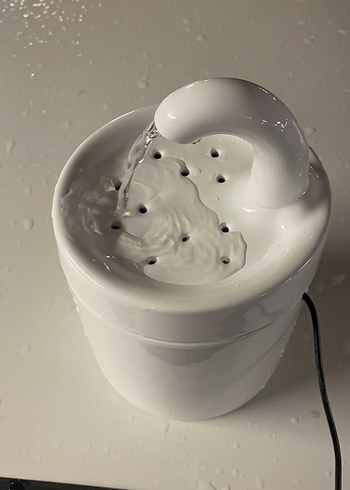 Beyaz Kedi Su Pınarı - Görsel 2