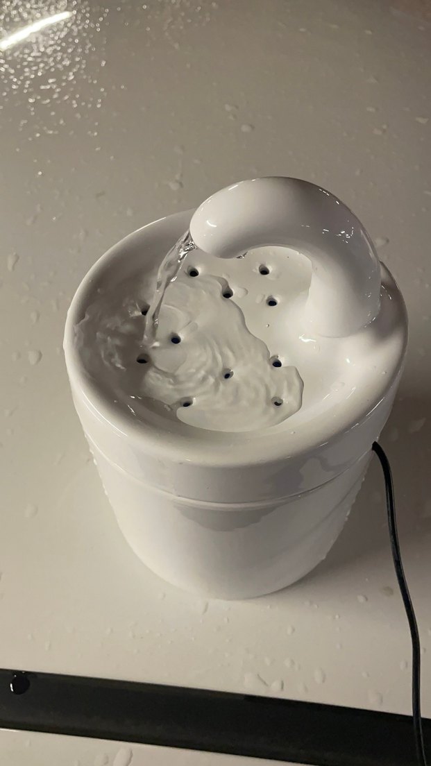 Beyaz Kedi Su Pınarı - Görsel 2