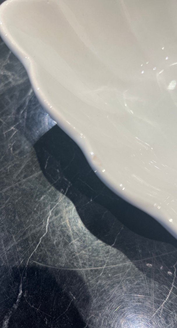 Beyaz Deniz Kabuğu Şeklinde Yemek Kabı Seti - Görsel 5