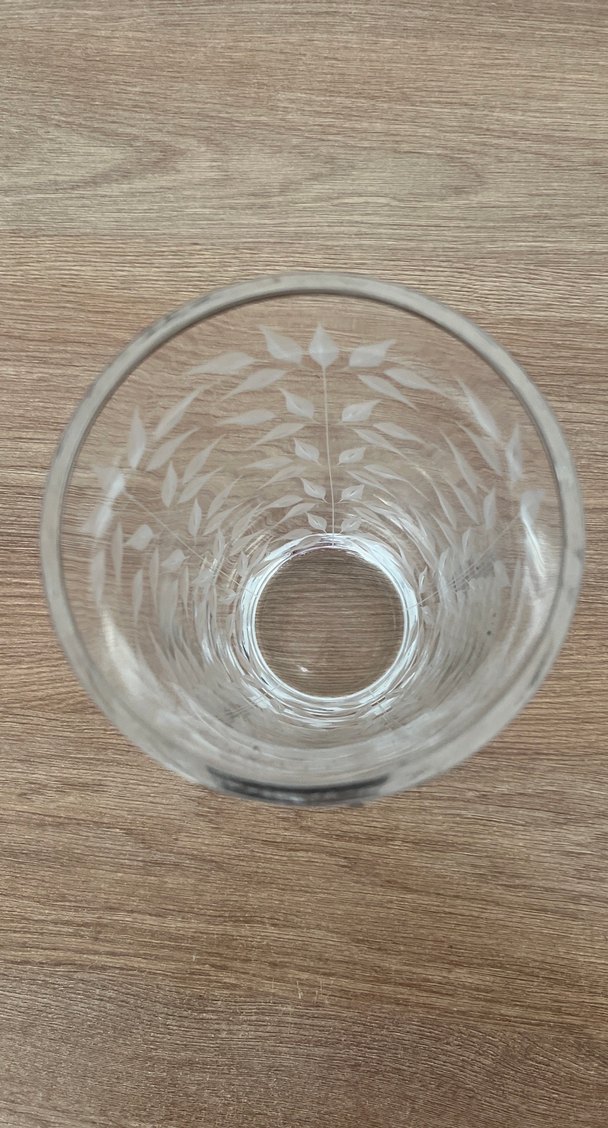 Paşabahçe Yaprak Desenli Gümüş Kenarlı Cam Bardak - Görsel 2