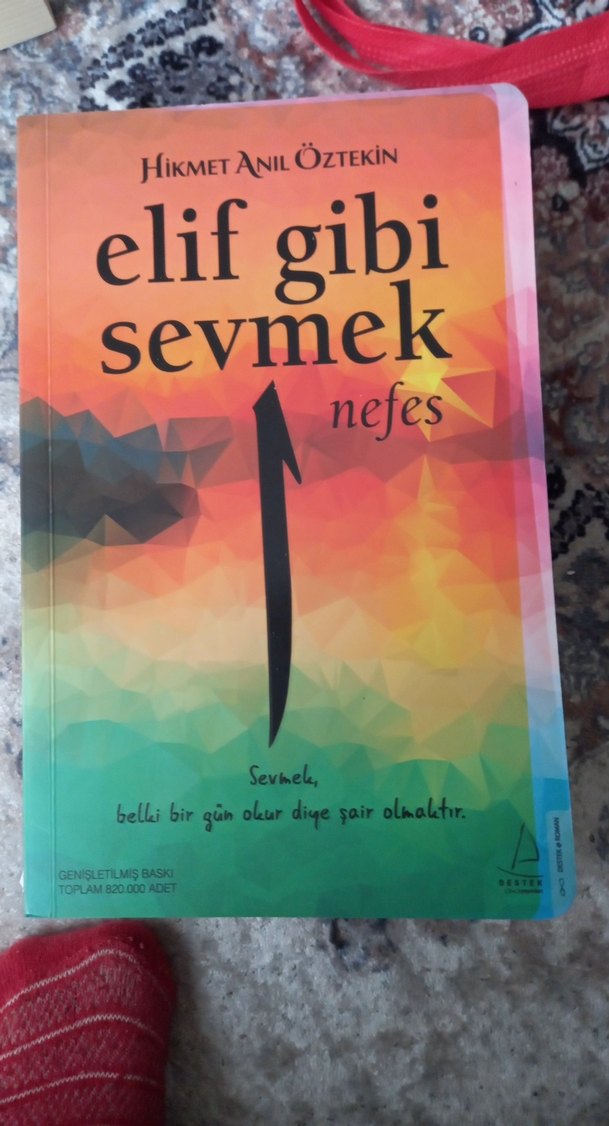 Pastel Mor Renkli Fesleğen Kitabı - Görsel 4