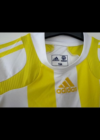 100.yıl koleksiyonluk forması - Görsel 2