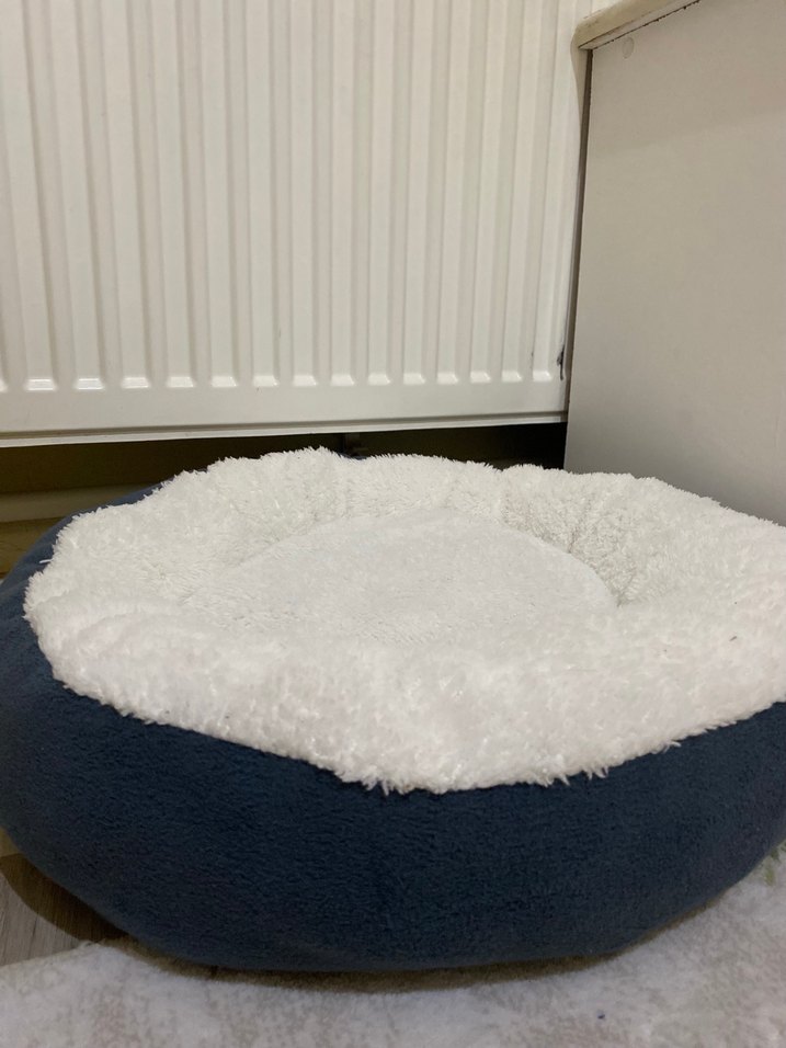 YUMOŞ SIFIR KEDİ YATAĞI - Görsel 4