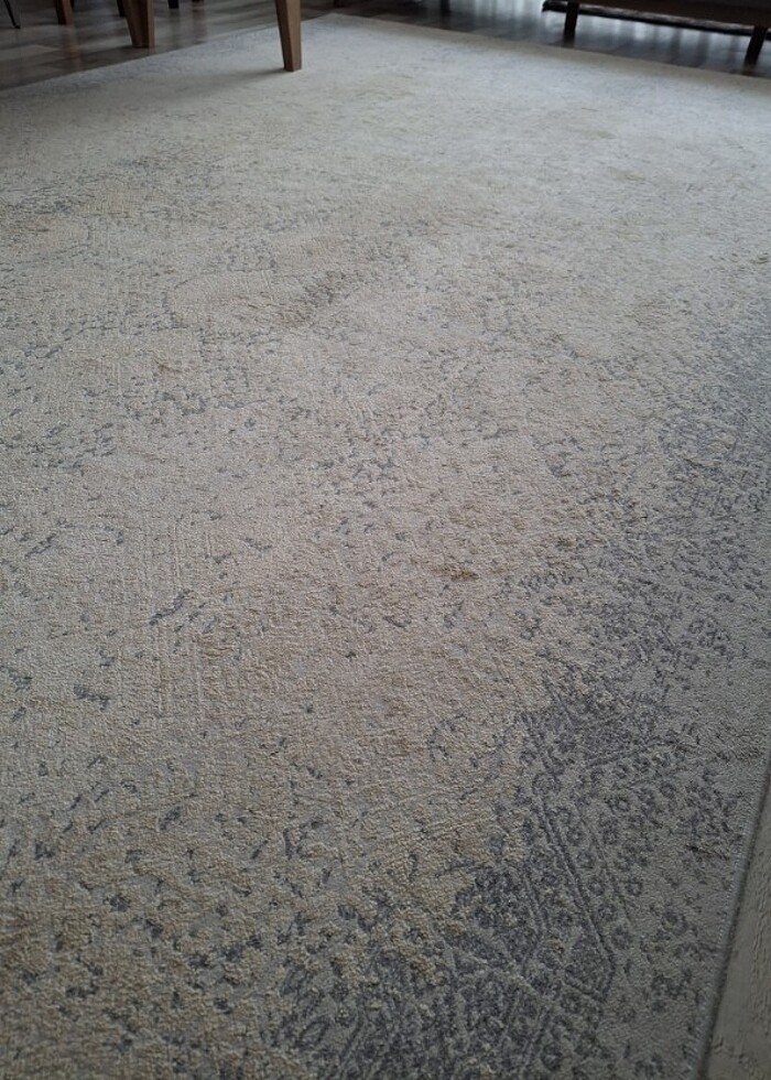 Salon halısı 6 m2  - Görsel 3