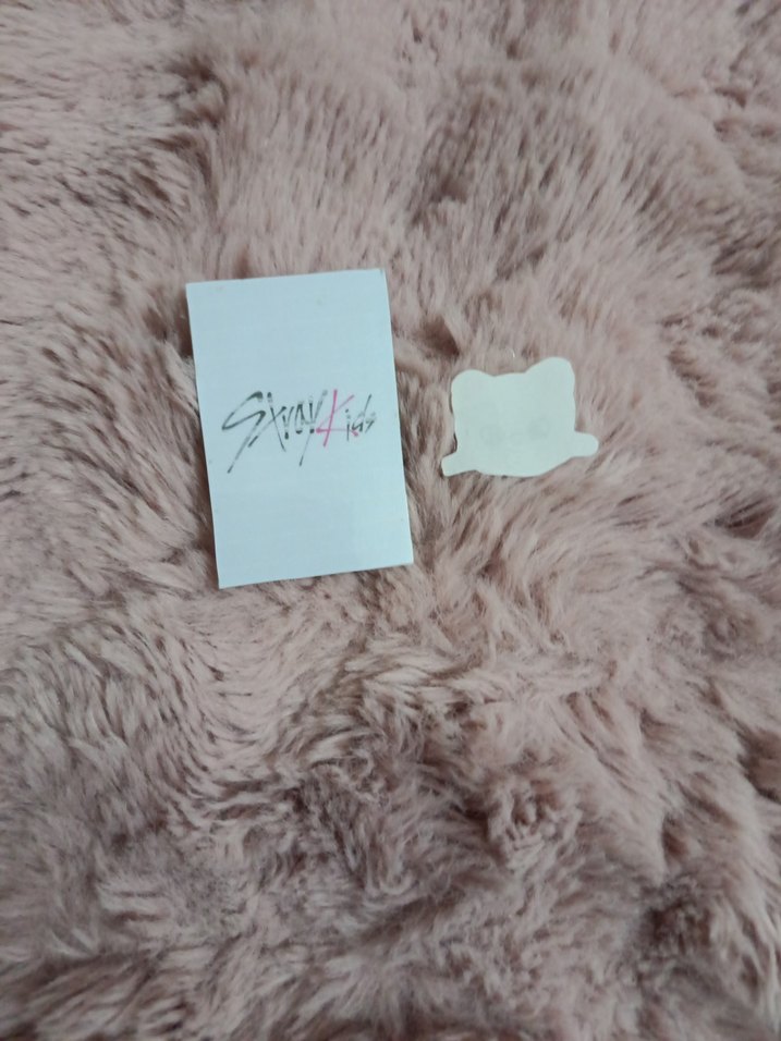 bayb hyunjin ve hyunjin anahtar  ucu - Görsel 2