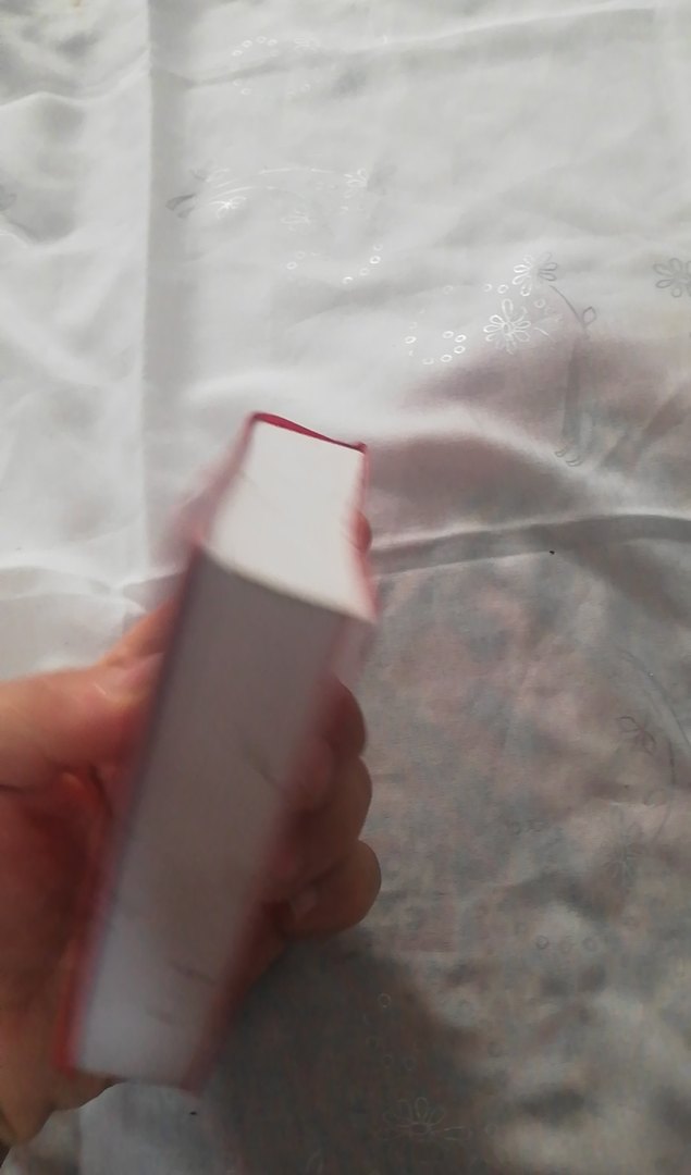 Redhouse İngilizce-Türkçe Mini Sözlük - Görsel 4