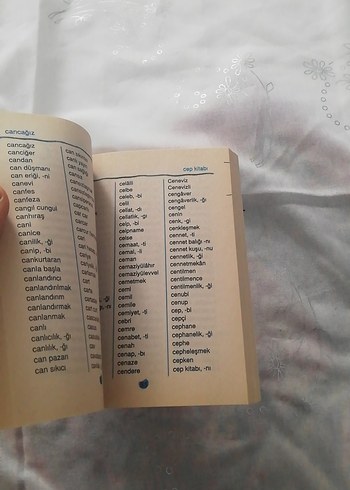 Türkçe Yazım Kılavuzu Kitap - Görsel 5