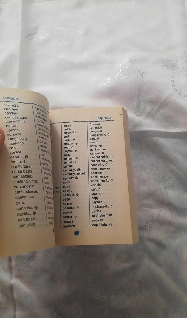 Türkçe Yazım Kılavuzu Kitap - Görsel 5