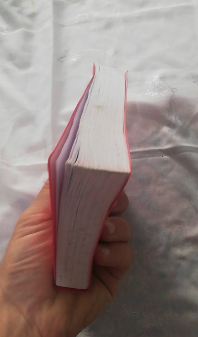 Redhouse İngilizce - Türkçe el sözlüğü - Görsel 3