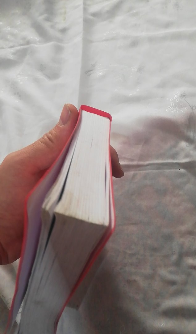 Redhouse İngilizce - Türkçe el sözlüğü - Görsel 4