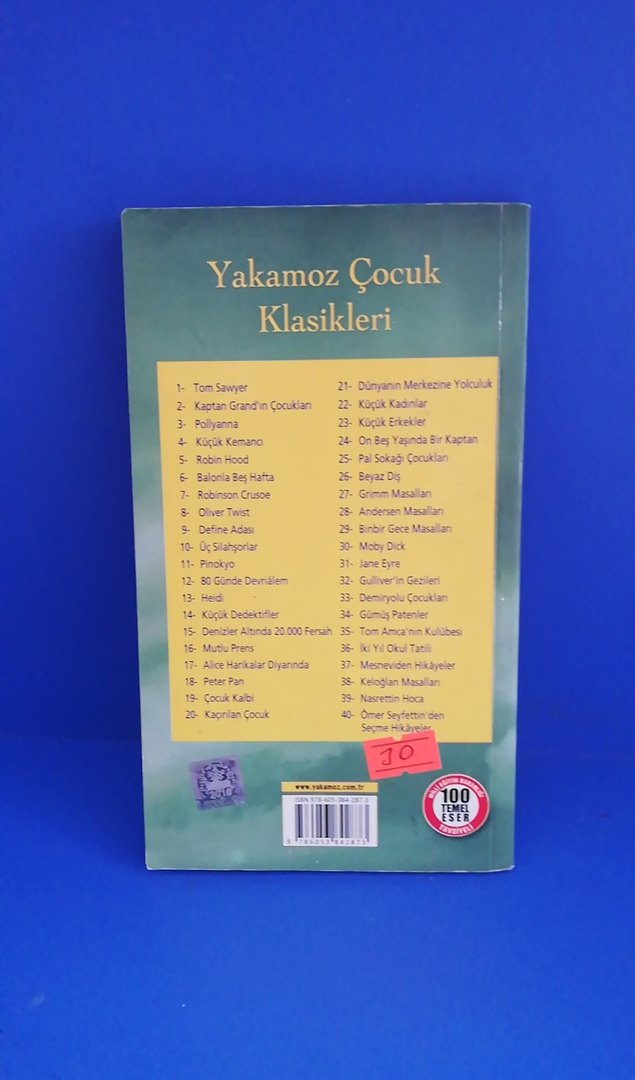 Robin Hood - Howard Pyle Çocuk Klasikleri - Görsel 2