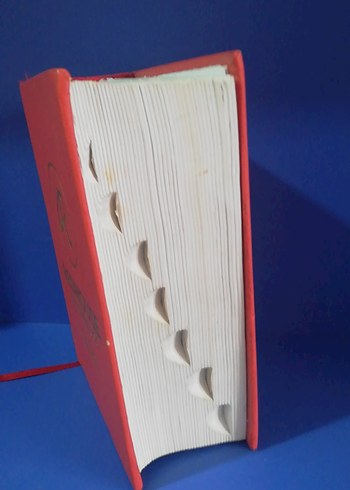 Redhouse Yeni El Sözlüğü İngilizce-Türkçe (702 sayfa( - Görsel 2