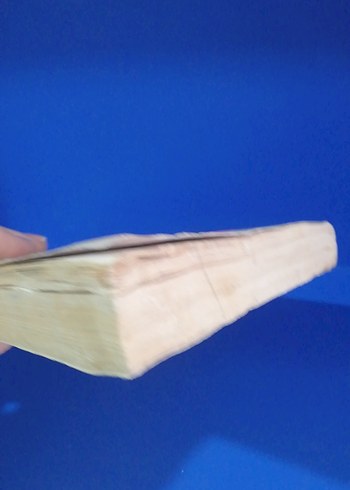 Petey - Ben Mikaelsen Hikaye Kitabı - Görsel 4