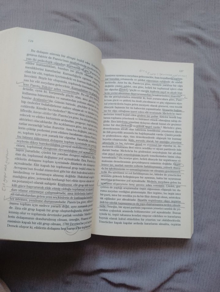 Siyasetin Sosyolojisi - Nur Vergin - Görsel 2