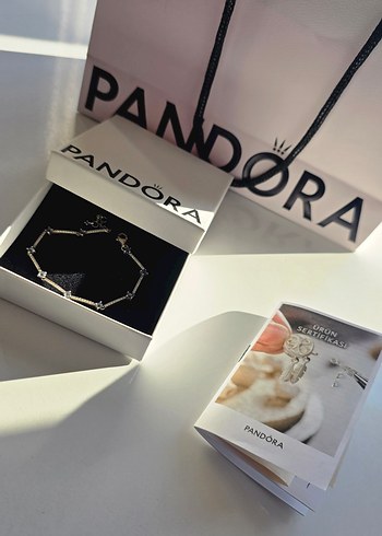 Pandora Minimalist Gumus Zincir Bileklik