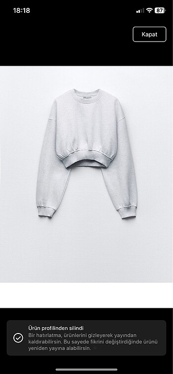 Zara crop sweat