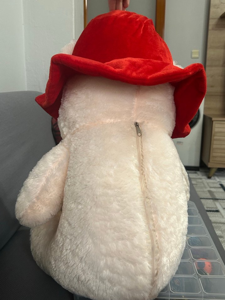 Kırmızı Şapkalı Renkli Peluş Ayı - Görsel 2