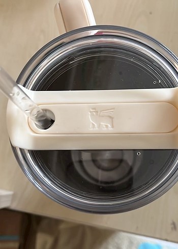 Parlak Camel Stanley Termos Şişe - Görsel 3