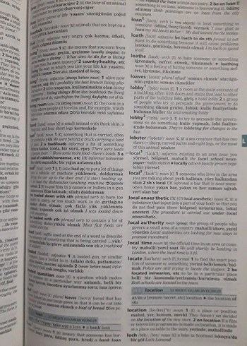 Cambridge İngilizce-Türkçe Öğrenci Sözlüğü CD'li - Görsel 5