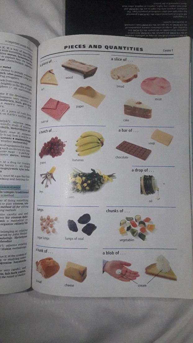 Cambridge İngilizce-Türkçe Öğrenci Sözlüğü CD'li - Görsel 4