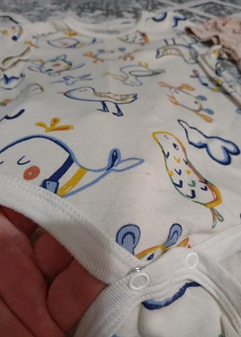 Renkli Erkek Bebek Kısa Kollu ZIBIN - Görsel 5