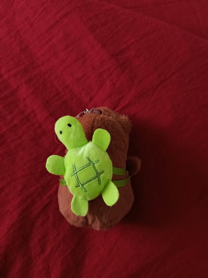 Kapibara Yeşil Sulufat - Görsel 3