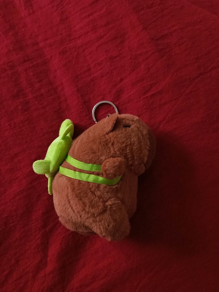 Kapibara Yeşil Sulufat - Görsel 2