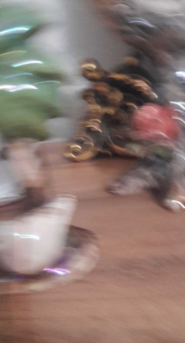 Beyaz ve Gri Kuş Figürlü Dekoratif Objeler - Görsel 5