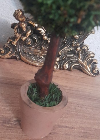 Küçük Yeşil Saksıda Dekoratif Ağaç - Görsel 11