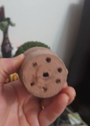 Küçük Yeşil Saksıda Dekoratif Ağaç - Görsel 6