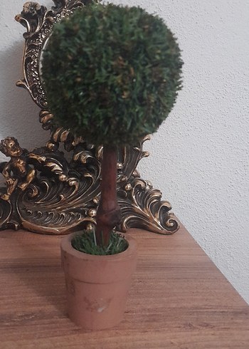 Küçük Yeşil Saksıda Dekoratif Ağaç - Görsel 2