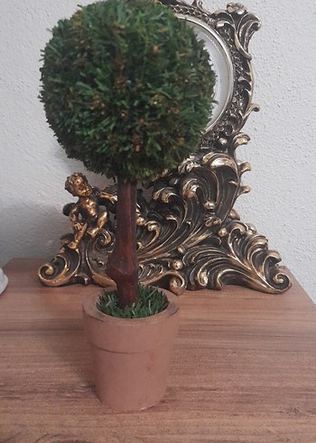 Küçük Yeşil Saksıda Dekoratif Ağaç - Görsel 9