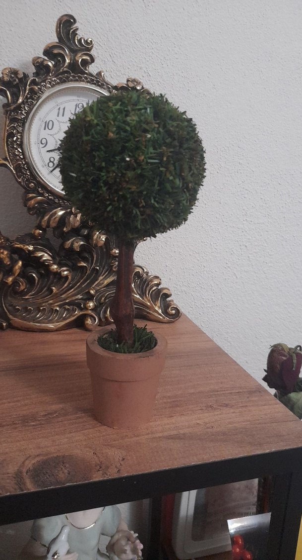 Küçük Yeşil Saksıda Dekoratif Ağaç - Görsel 5