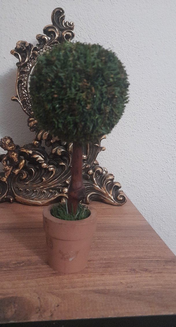 Küçük Yeşil Saksıda Dekoratif Ağaç - Görsel 2