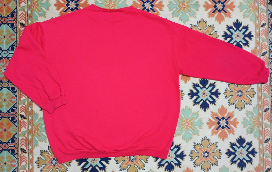 Oxford Üniversitesi Baskılı Kırmızı Sweatshirt - Görsel 2