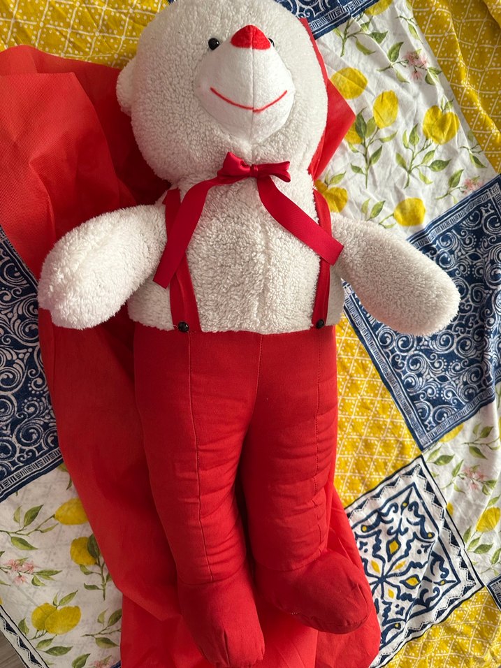 Kırmızı Pantolonlu Peluş Ayı Oyuncak - Görsel 3