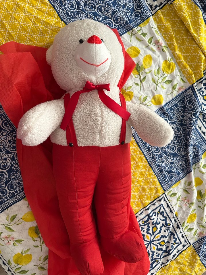 Kırmızı Pantolonlu Peluş Ayı Oyuncak - Görsel 2