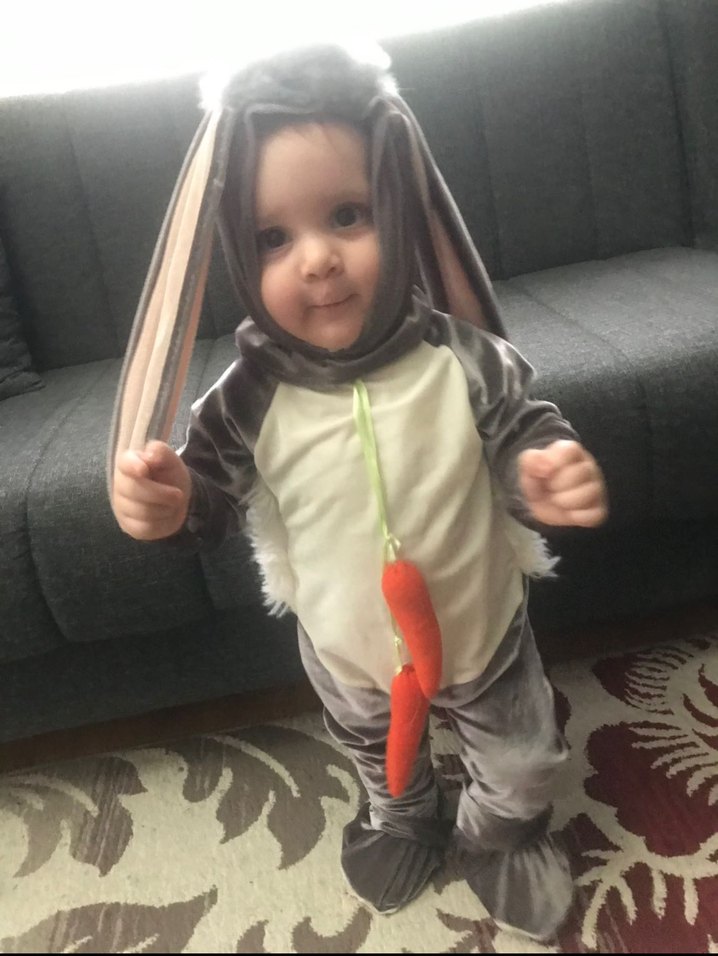 Diş buğdayı tavşan kostümü - Görsel 2