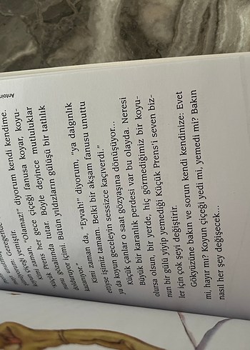 Küçük Prens - Cemal Süreya & Tomris Uyar Çevirisi - Görsel 3