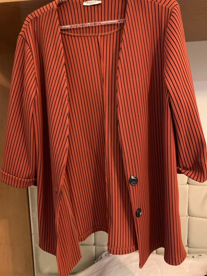 Kiremit Renk Çizgili Blazer Ceket - Görsel 3