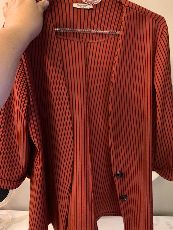 Kiremit Renk Çizgili Blazer Ceket - Görsel 2