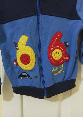 Renkli Baskılı Fermuarlı Erkek Kapüşonlu Sweatshirt - Görsel 2