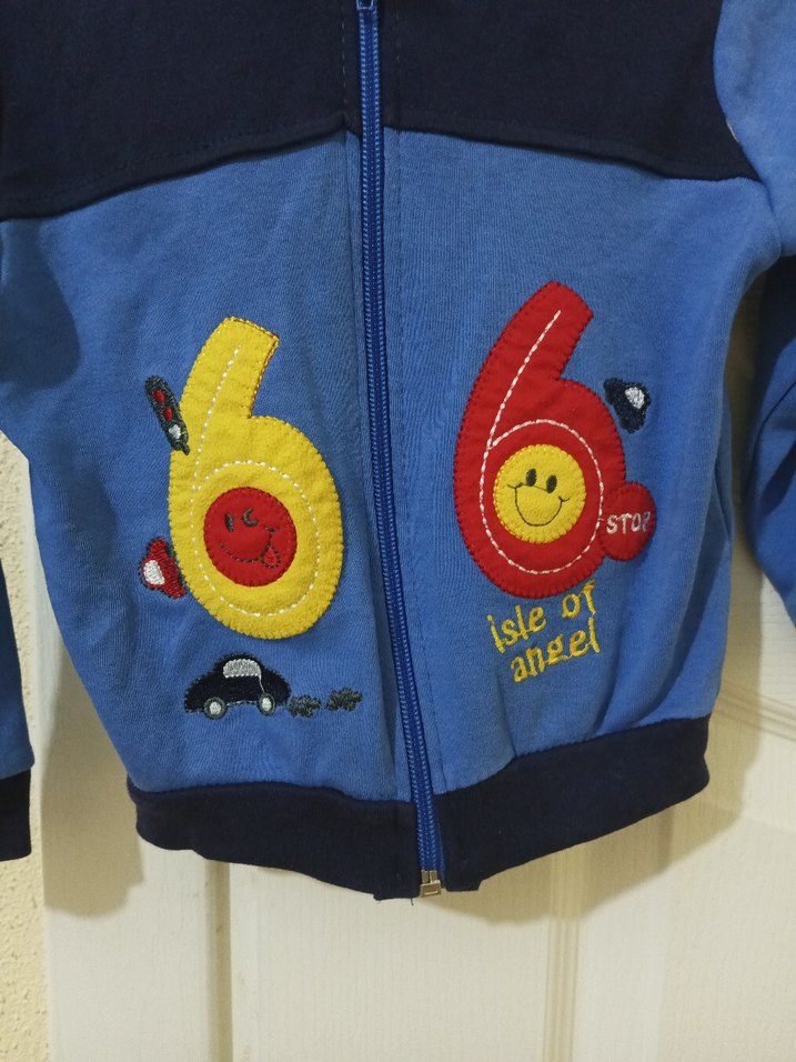 Renkli Baskılı Fermuarlı Erkek Kapüşonlu Sweatshirt - Görsel 2