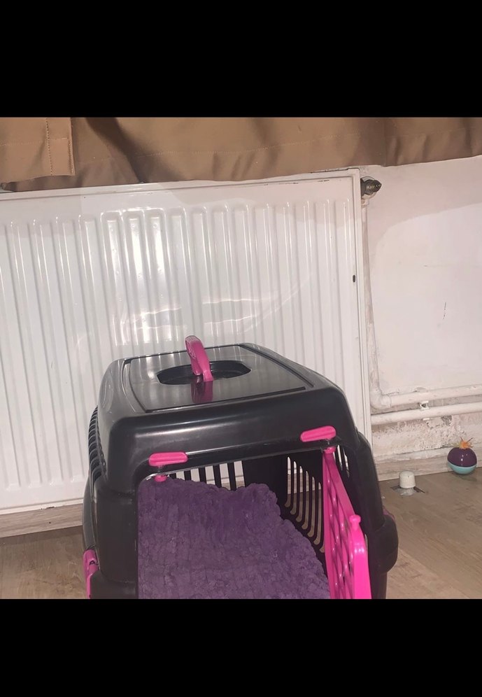 Kedi köpek Taşıma çantası Mor - Görsel 3