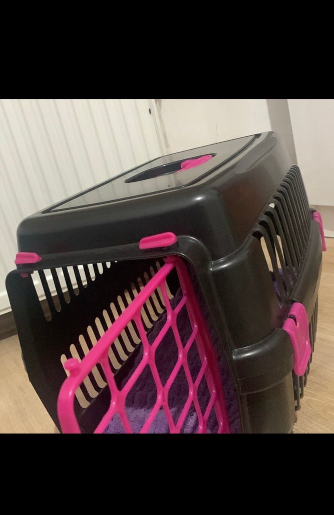 Kedi köpek Taşıma çantası Mor - Görsel 2