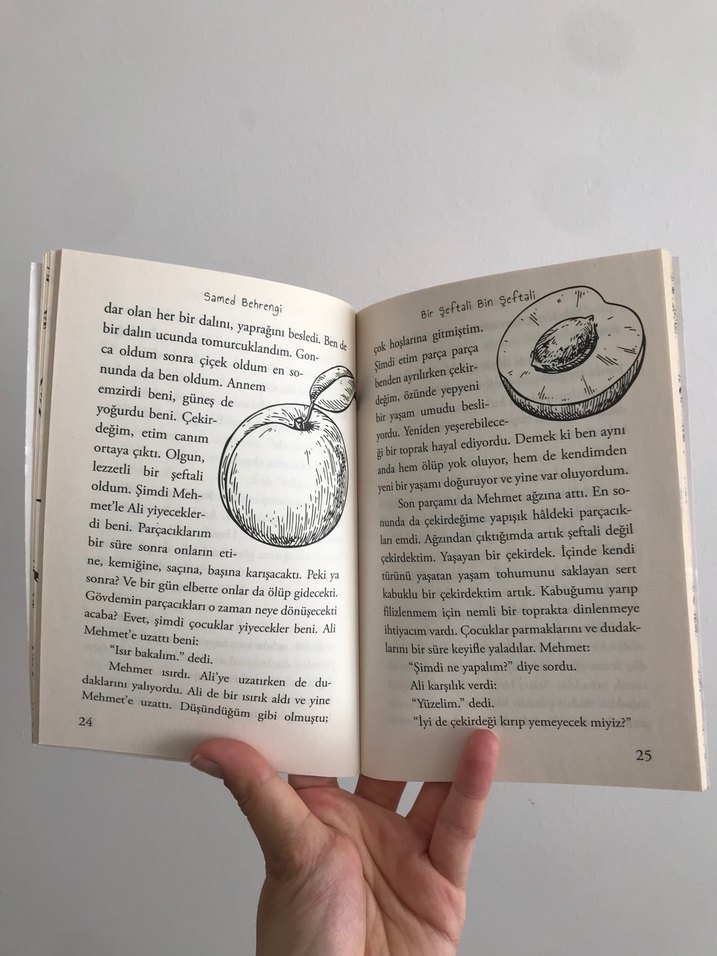 Bir Şeftali Bin Şeftali - Samed Behrengi - Görsel 3