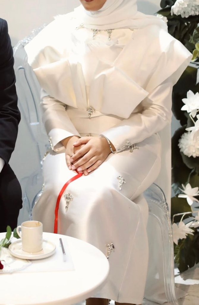 Tesettür Abiye - Görsel 2